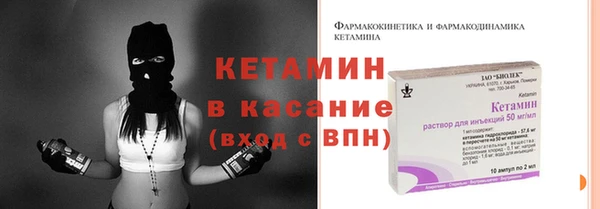 хмурый Аркадак