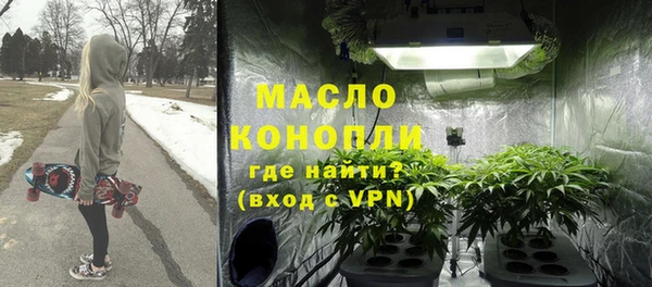 хмурый Аркадак