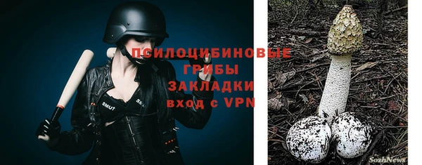 хмурый Аркадак