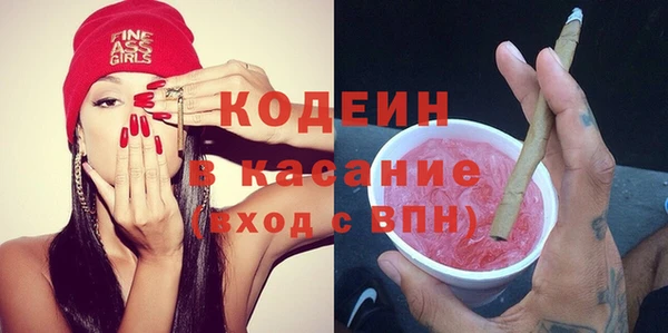 хмурый Аркадак